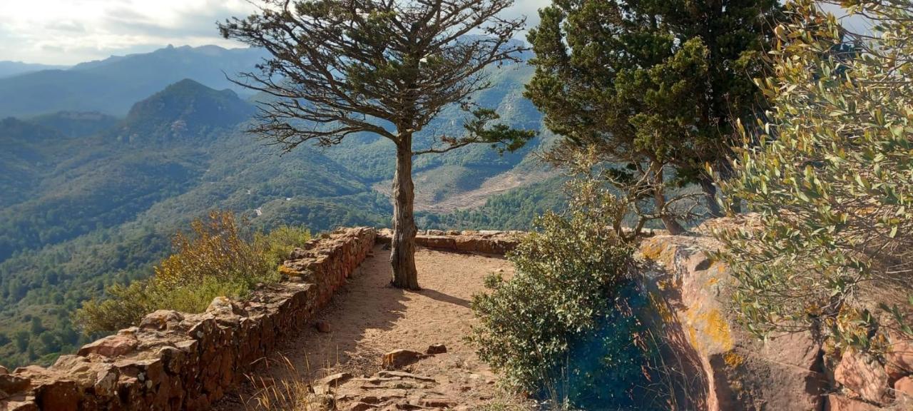 La Casita De Jimena Villa Riudecanyes Bagian luar foto
